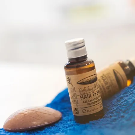 L'appart Caroline - Proche Du Beffroi Apartamento